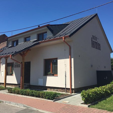 Penzion Hermina Veselí nad Moravou Esterno foto