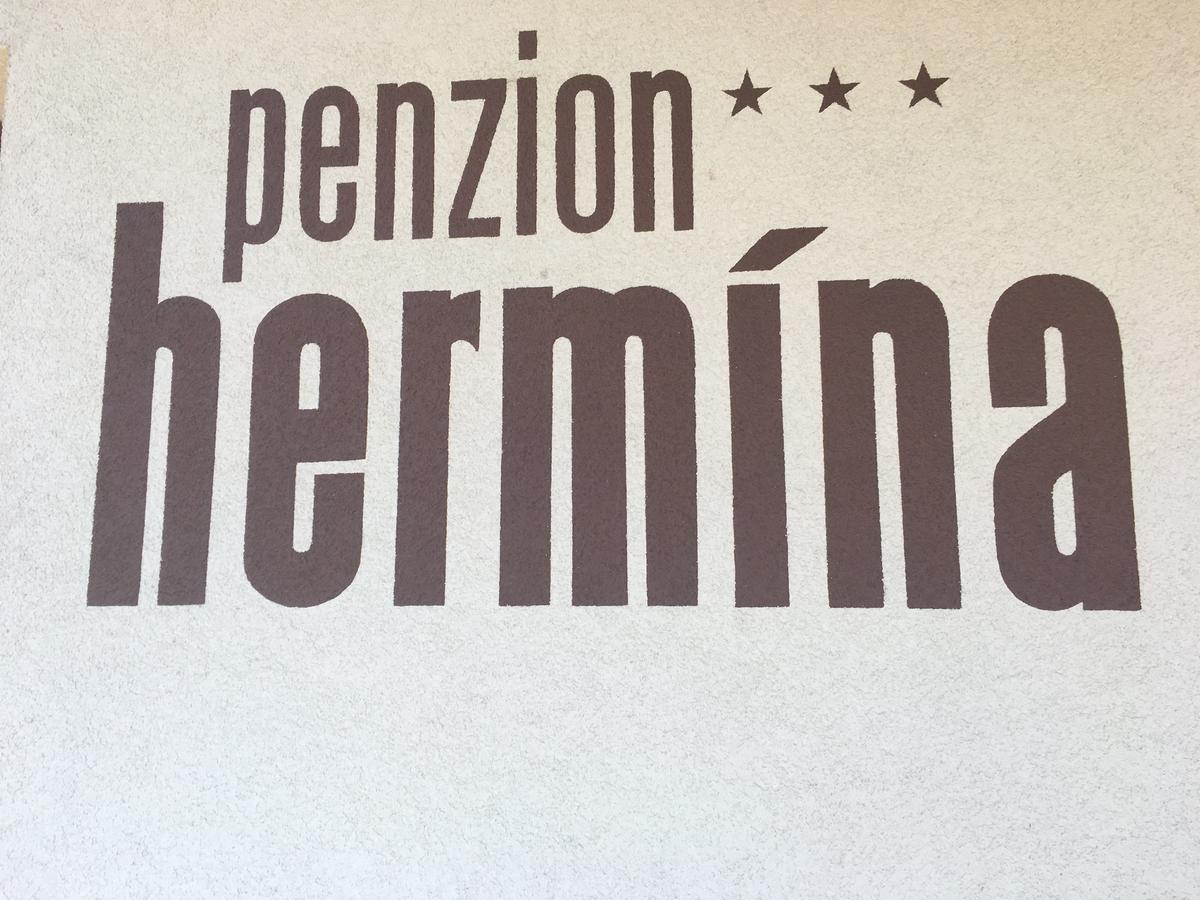 Penzion Hermina Veselí nad Moravou Esterno foto